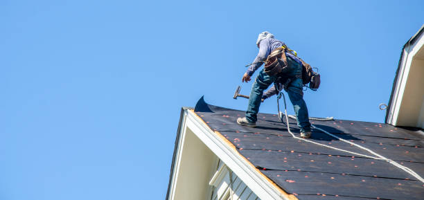 Best Storm Damage Roof Repair  in Elizabeth, NJ